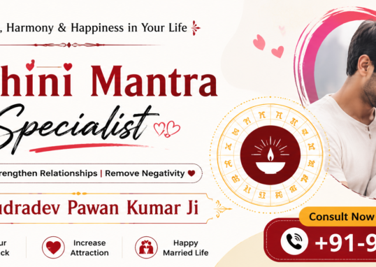Mohini Mantra Specialist